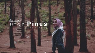 Cinematic Hutan Pinus | Kota Bangkinang | Shoot with Canon Eos M3 & DJI Mavic Air 2