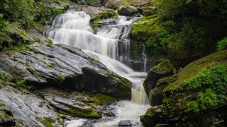 Scadin Falls - Highlands, NC - Hike Vlog 192