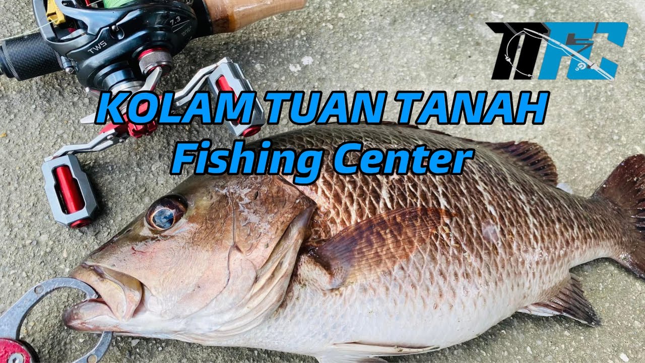 KOLAM TUAN TANAH FISHING CENTRE SG BULOH ✅
