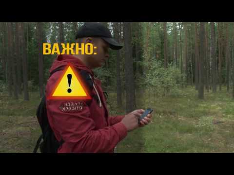 Если заблудился в лесу