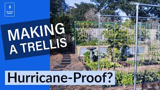 Build a cattle panel trellis that can handle a hurricane!