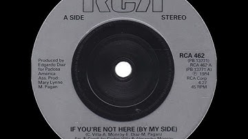Menudo - If You