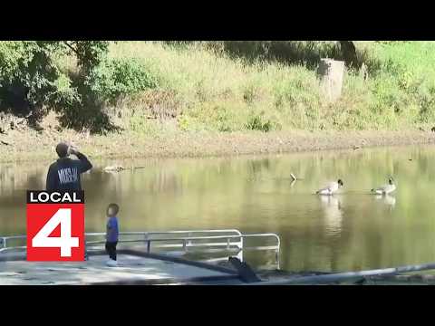 Local 4 News at 6 -- Oct. 7, 2026