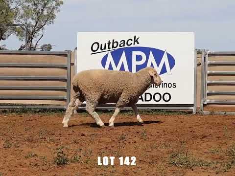 LOT 142