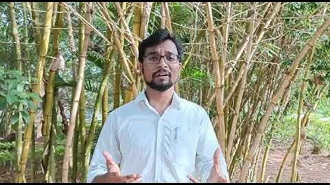 Field Studies, Dept.of English, Tumkur University