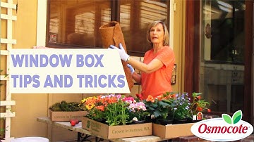 Tips & Tricks For Your Shaded Window Box