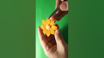 Học tỉa Hoa CÀ RỐT với dụng cụ tỉa hoa mebaohan