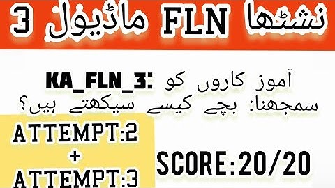 نشٹھا  2۔0 FLN ماڈیول 3: آموز کاروں کو سمجھنا: بچے کیسے سیکھتے ہیں؟کوئز