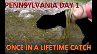 First Day Of Pennsylvania Trip: What The Hellbender?