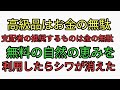 高級品はお金の無駄。支配層が推奨するものすべてお金の無駄！無料の自然の恵みドクダミを利用した結果！
