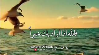 لاينساك الله ♥حالات واتس اب دينية ادعيه🕊مقاطع دينية قصيرة🌿مقاطع انستقرام ستوريات دينيه_اناشيد_دينيه✨ screenshot 5