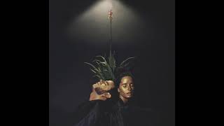 Dame Area - La Danza Del Ferro