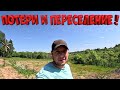 ПОТЕРИ В ХОЗЯЙСТВЕ ! ПЕРЕСЕЛЕНИЕ ! НОВЫЙ БОСС !