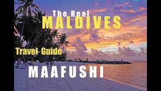 MALDIVES - MAAFUSHI ISLAND - TRAVEL GUIDE - 2021  4k  #budgettraveling #snorkeling #diving