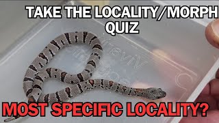 LOCALITY or MORPH? BREEDER name? It gets confusing. Localities matter a great deal for some species.