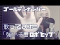 金爆ゴールデンボンバー「強いぞ!ロボヒップ」歌ってみた★リクエスト曲