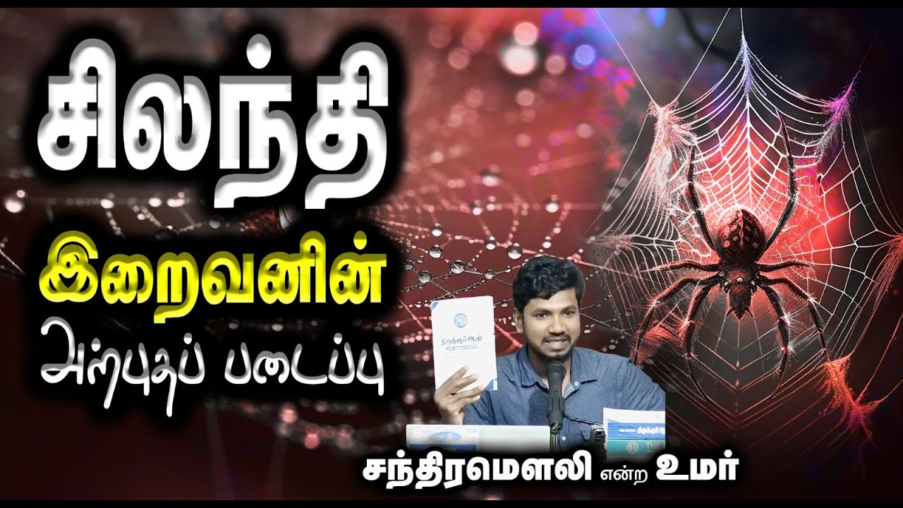சிலந்தி இறைவனின் அற்புதப் படைப்பு┇சந்திரமௌலி என்ற உமர்┇04-01-26┇Way to Paradise