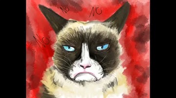 Grumpy Cat Speed Painting (procreate)