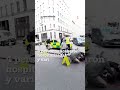  se escaparon caballos del ejrcito britnico y causaron un caos en londres