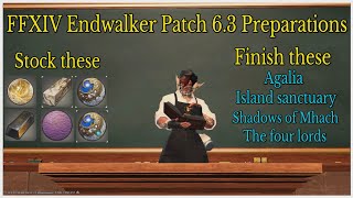 Final Fantasy XIV patch 6.3 General preparations