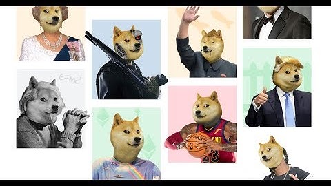 Doges on Trial Video Explainer Pt 1