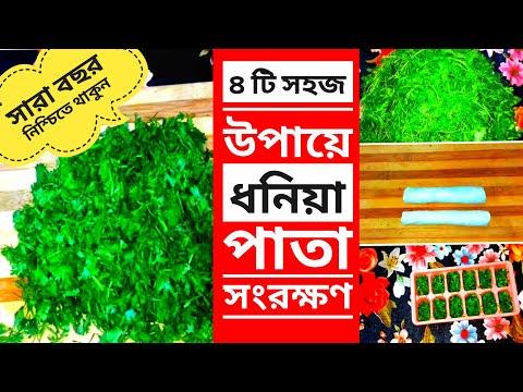বছরজুড়ে ধনিয়াপাতা সংরক্ষণের উপায় || How to store coriander leaves || Bangladeshi Vlogger Nila