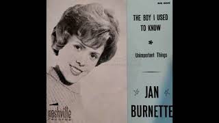 Jan Burnnette  : Unimportant Things