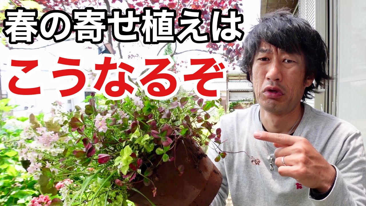 Too sticky] I'll tell you what to do with the next planting