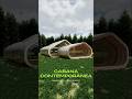 CABANA CONTEMPORÂNEA PARAMÉTRICA COM RHINOCEROS + GRASSHOPPER  #arquitetura #designparamétrico