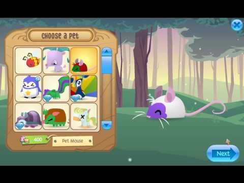 For Animal Jam For Animal Jam