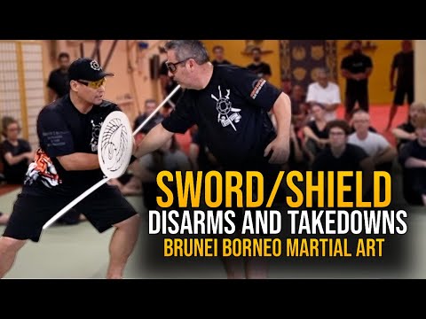 Disarms, Takedowns - Sword and Shield - Silat Suffian Bela Diri