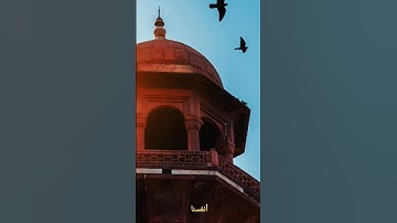 #يالله #يارحمن_يارحيم #اللهم_صل_وسلم_على_نبينا_محمد #صلوا_على_النبي #قرآن_كريم #quran #تلاوة_خاشعة