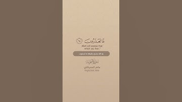 سورة التوبة [ 64 : 66 ] ~ الشيخ ماهر المعيقلي