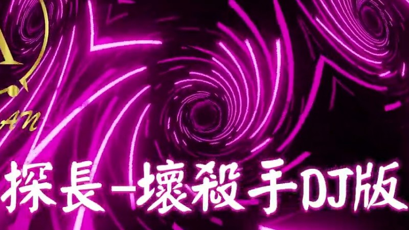 2024新歌發佈🎶探長 - 壞殺手Djremix🎶Dj緯翔Remix 《私人訂做》