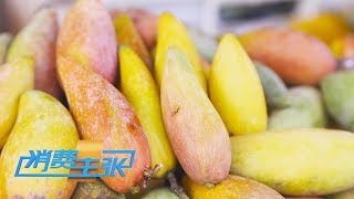 《消费主张》 20230719 芒果飘香季 哪种芒果最美味？| 财经风云