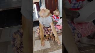 YaYa happy,, when see corn 🌽🌽