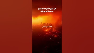 الان فهم الناس ما يحدث في فلسطين بعد أن جاء أمر الله   سورة البقره   محمد اللحيدان