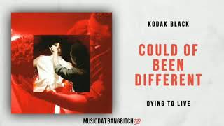 Kodak Black - Could Of Been Different