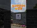 광주근교 담양맛집 쌈돈까스와 물총칼국수로 유명한 신사와칼국수 담양본점