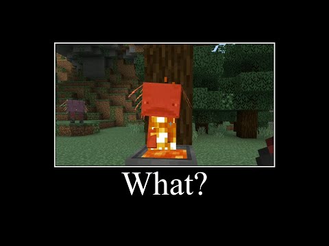 Minecraft...... Wait What?