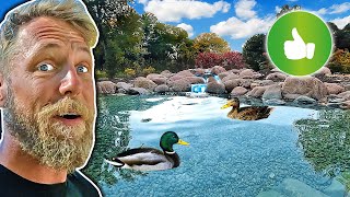 CRYSTAL CLEAR POND For Ducks | REVEAL