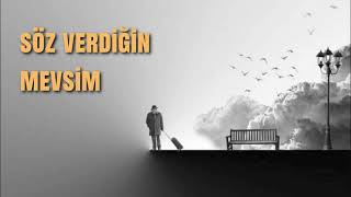 Şehirli Ozan - Söz Verdiğin Mevsim l Official music audio ® 2026