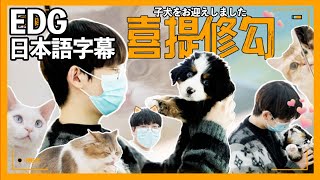【EDG日本語】Smoggy犬を飼い始める【VALORANT】