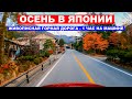 ОСЕНЬ В ЯПОНИИ: 1 час на машине по живописной горной дороге - Жизнь в Японии