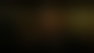 The Assignment 2017 | English