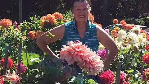 El Cerrito Garden Club April Program- Dahlias with...