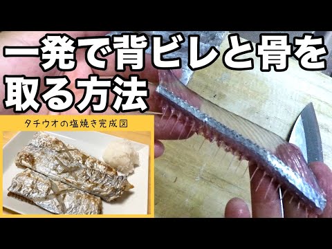 太刀魚のカンタンなさばき方ってどうすればいいの 美味しい塩焼きに調理する方法