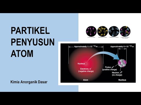 Video: Partikel apa yang berkontribusi pada nomor massa dan mana yang tidak?