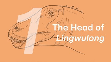 Chuanchuan the Lingwulong 1: The Head | Learn to Draw Dinosaurs with ZHAO Chuang