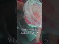 #foryoupage #starbucks #pinkdrink #famous #shorts